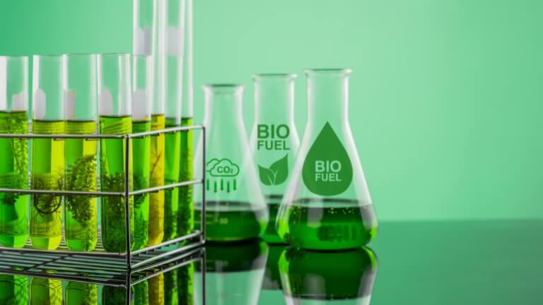 carbone biogène biocarburants